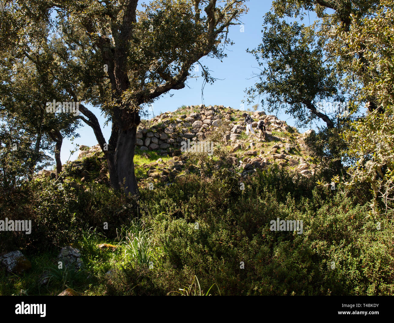Cercle mégalithique et grande hutte circulaire dans le site archéologique de Noddule - SARDAIGNE , ITALIE Banque D'Images