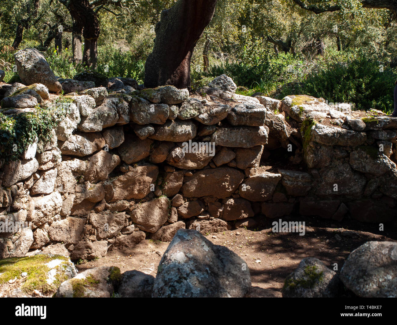 Cercle mégalithique et grande hutte circulaire dans le site archéologique de Noddule - SARDAIGNE , ITALIE Banque D'Images