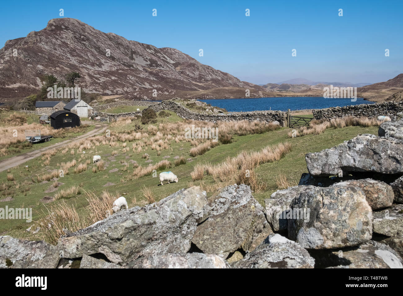 Vue panoramique à Cregennan les lacs, dans le sud du Parc National de Snowdonia, Gwynedd, Pays de Galles, Royaume-Uni Banque D'Images