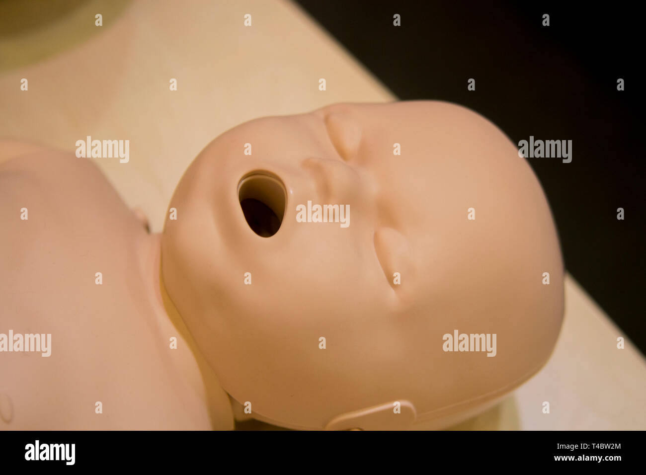 Un modèle mannequin médical bébé enfant face à pleine bouche close-up, medical exhibit Banque D'Images