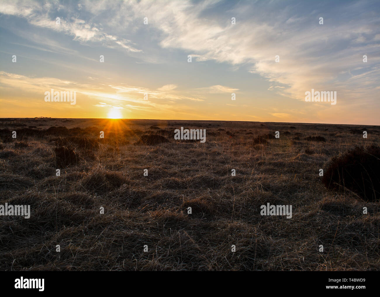 Marsden Moorland, Yorkshire, UK, 13 avril 2019. Le moorland anglais sauvages au coucher du soleil dans le Yorkshire. Vous pouvez voir la stérile wild menant à la coucher du soleil Banque D'Images