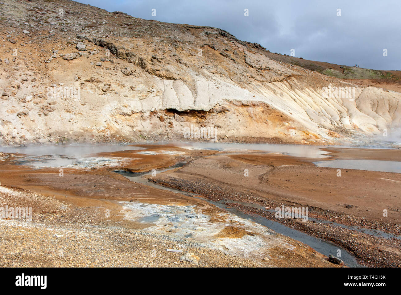 Vue de la zone géothermique avec fumerolles, Krysuvík, Islande Banque D'Images