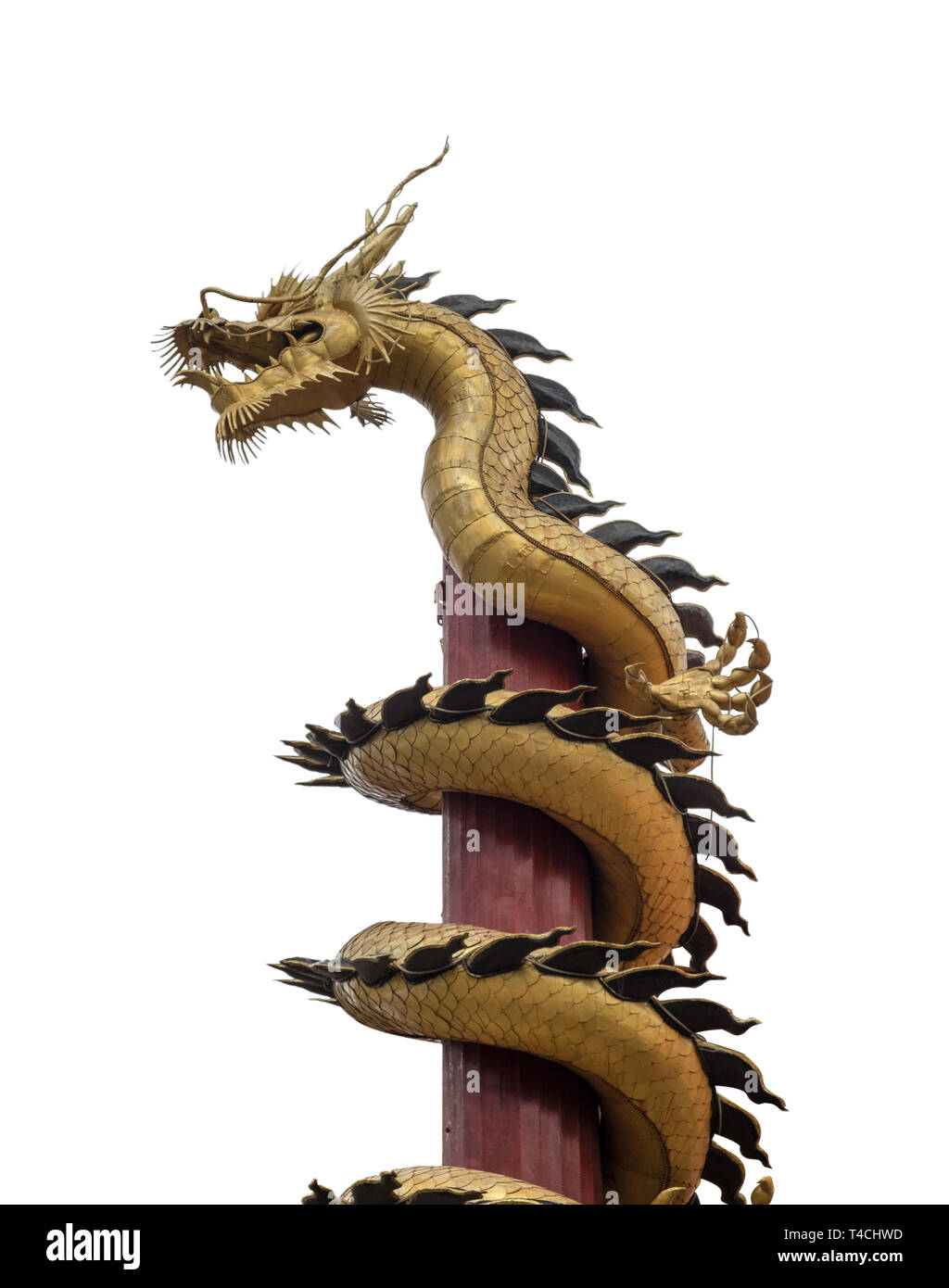 Golden dragon enroulé autour de poteau en bois sur fond blanc Banque D'Images
