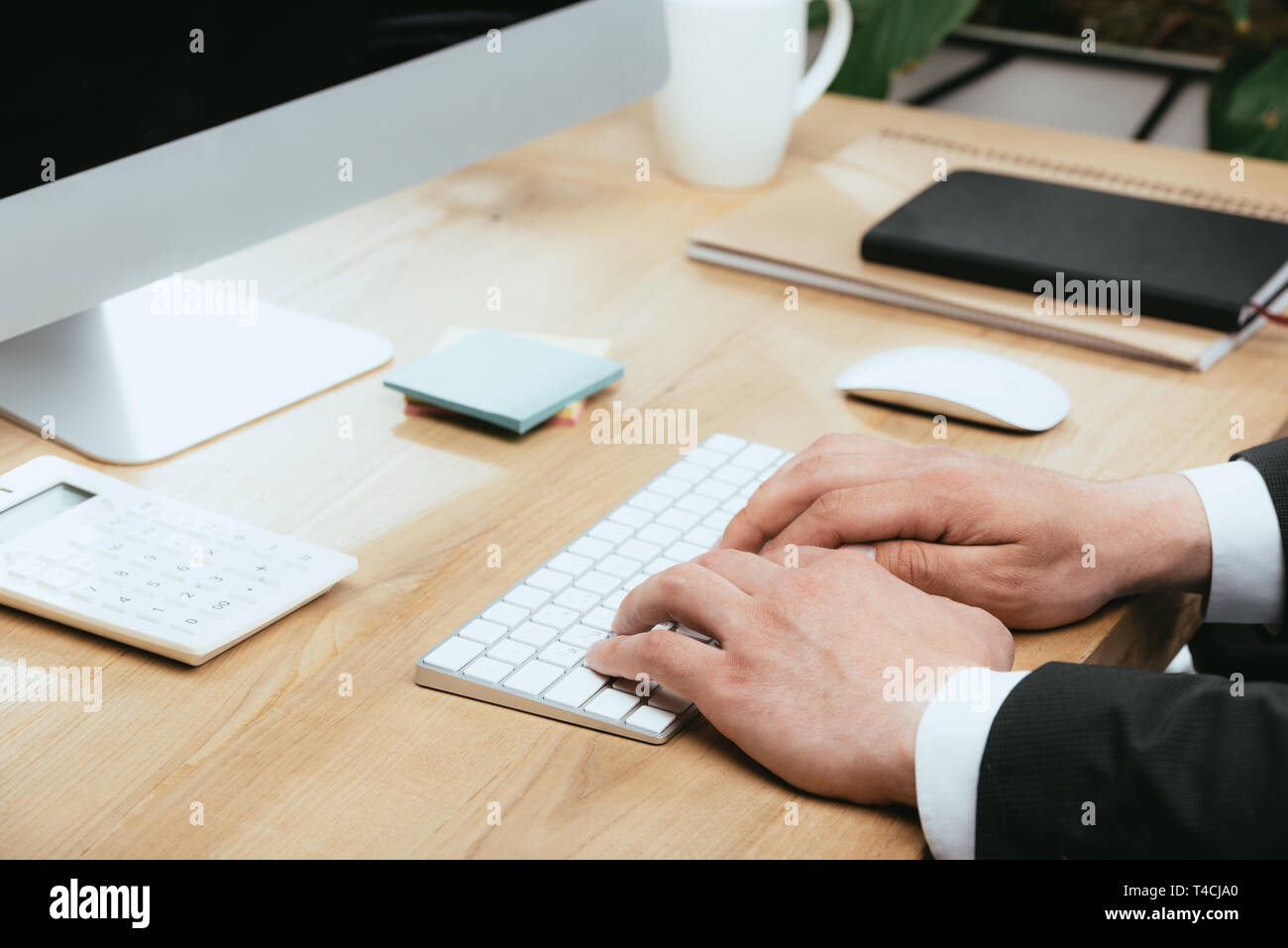Portrait de l'homme adulte à l'aide du clavier de l'ordinateur in office Banque D'Images