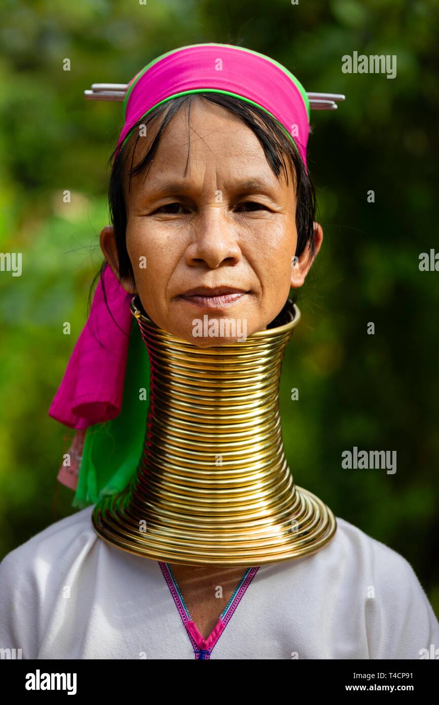 Padaung long col femme avec des bagues de centrage en laiton, portrait, tribus des collines, montagnes, province de Chiang Rai, dans le Nord de la Thaïlande, Thaïlande Banque D'Images