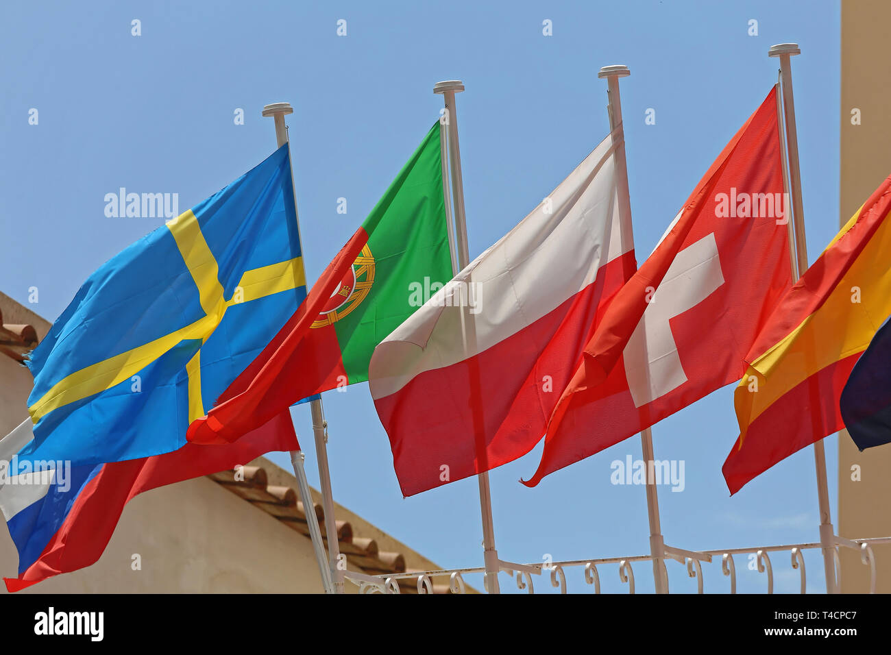 Plusieurs drapeaux polonais journée ensoleillée Banque D'Images