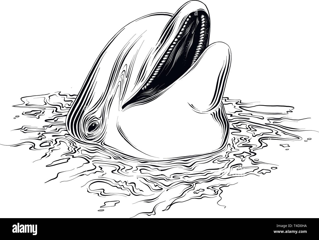 Dessin vectoriel de dolphin en couleur noir, isolé sur fond blanc. Illustration graphique, dessin à la main. Dimensions des affiches, décoration et d'impression Illustration de Vecteur