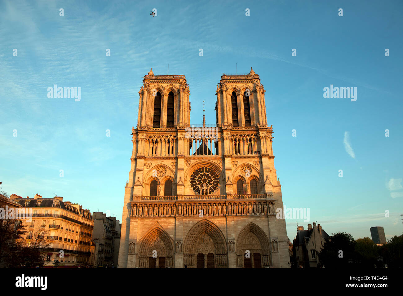 Paris, France. La Cathédrale Notre Dame sur l'Île de la Cité au centre de Paris. Septembre 2011 Notre Dame signifiant 'Notre-Dame de Paris'), souvent appelé simplement comme Notre-Dame, est une cathédrale catholique sur l'Île de la Cité dans le 4ème arrondissement de Paris, France.[a] La cathédrale est considérée comme l'un des plus beaux exemples de l'architecture gothique française. Son utilisation novatrice de la nervure vault et boutant, son énorme et colorée rose windows et le naturalisme et l'abondance de sa décoration sculpturale la distinguent du plus haut style roman. La cathédrale a été être Banque D'Images