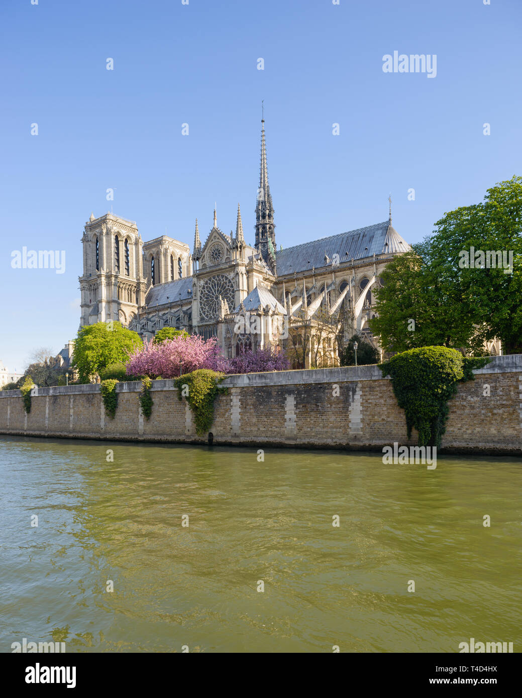 La cathédrale Notre-Dame façade sud sur une belle matinée de printemps, avril 2016, trois ans avant avril 2019 incendie dévastateur. Banque D'Images