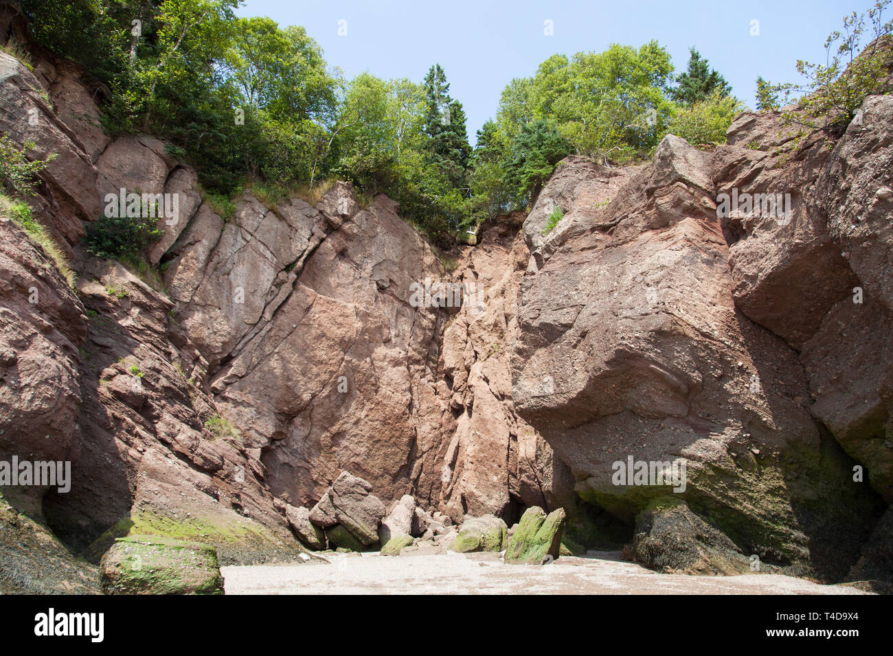 Le paysage érodé au parc des rochers Hopewell Rocks célèbre pour sa très haute marée (Nouveau-Brunswick, Canada). Banque D'Images
