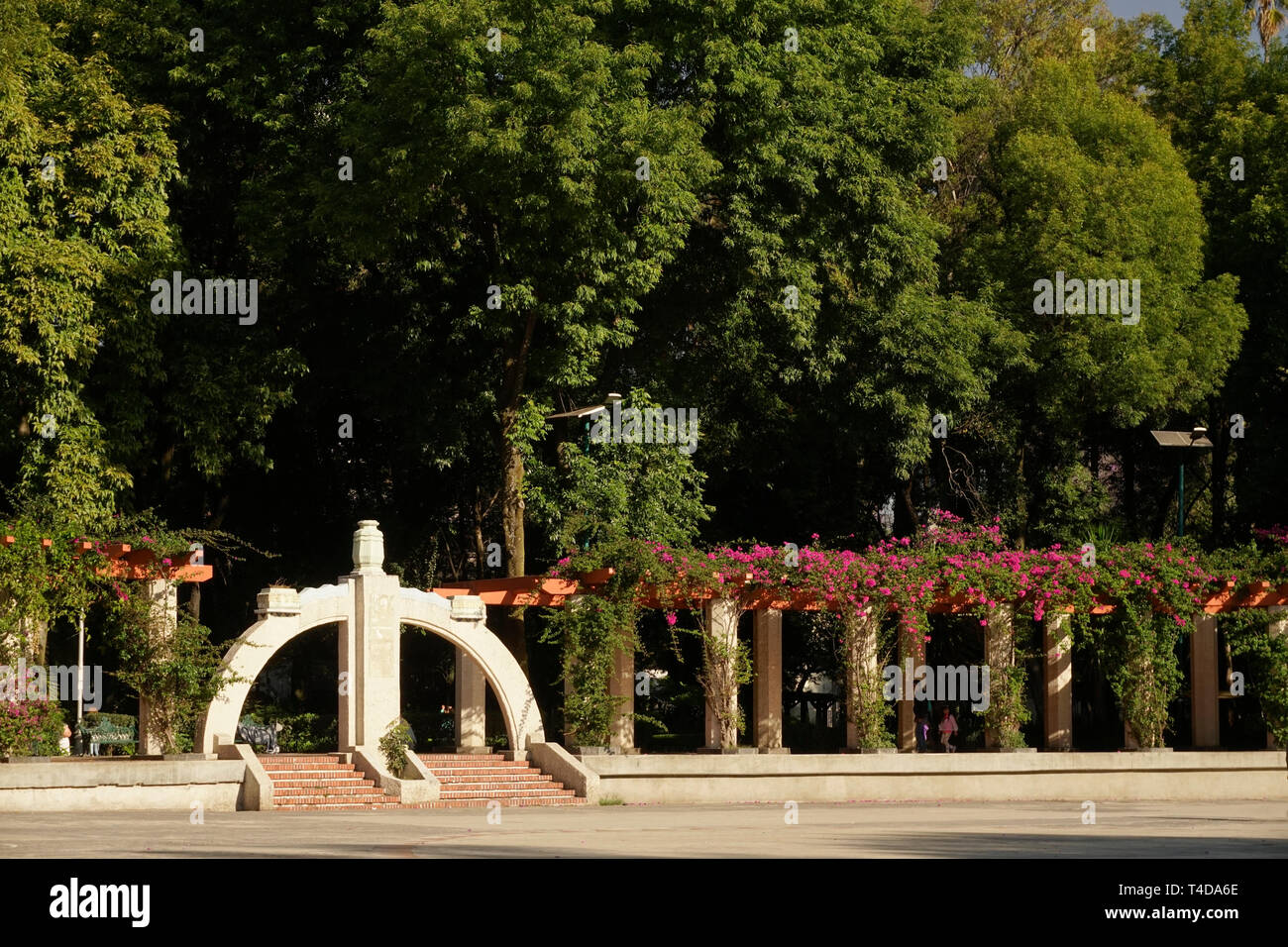 Lindbergh Théâtre en plein air ; dans le Parque Mexico City Park, dans le quartier Rom/Hipodromo de Mexico, Mexique. Banque D'Images