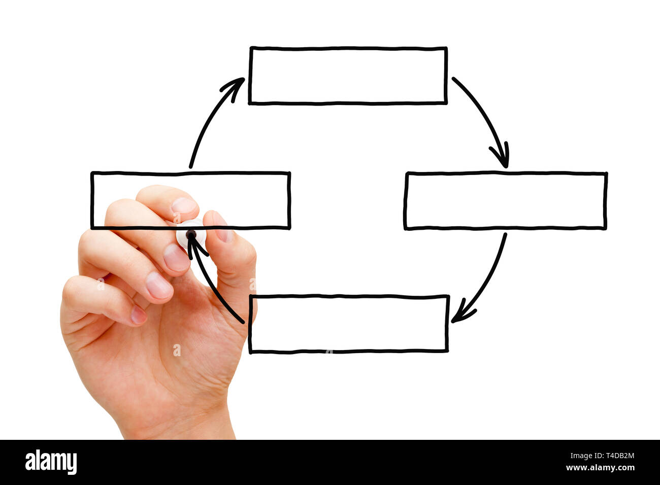 Dessin à la main vide diagramme cyclique avec copie espace avec marqueur noir sur transparent conseil essuyer isolé sur blanc. Banque D'Images