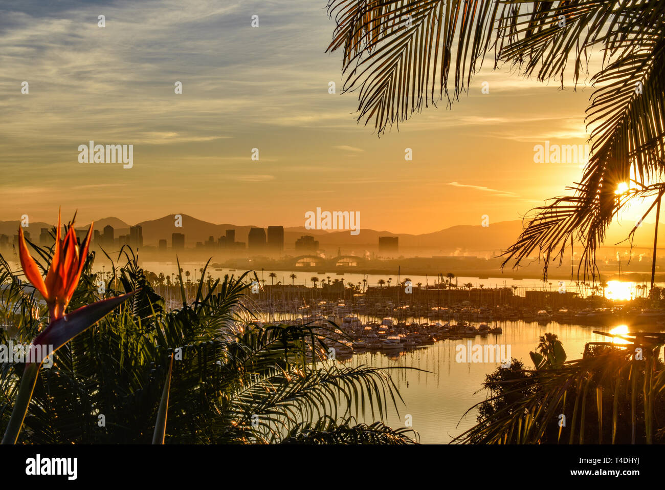 Lumineux calme le lever du soleil sur la ville de San Diego, avec au Nord la baie de San Diego et voiliers amarrés au large de l'île Shelter, California, USA Banque D'Images