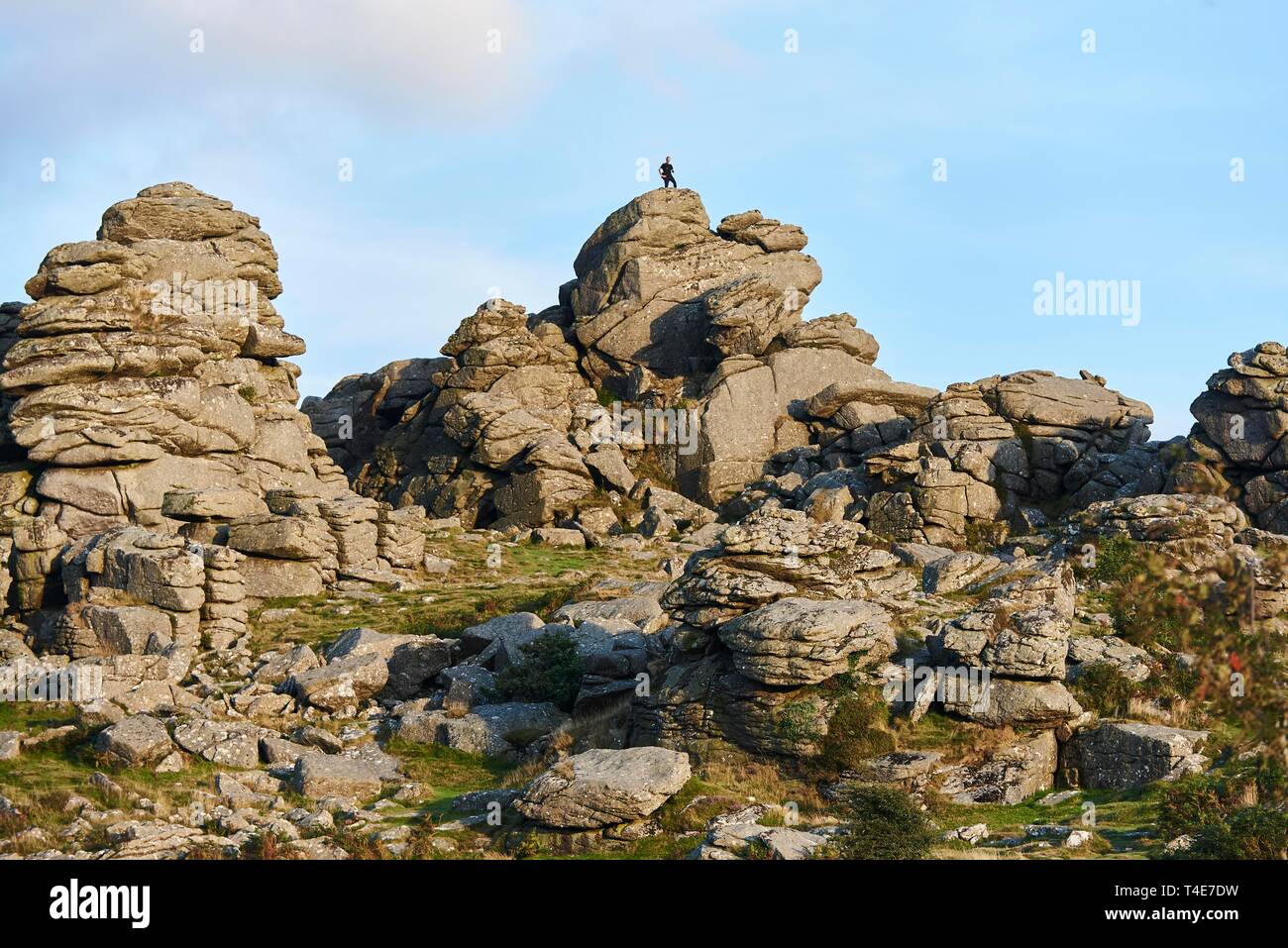 Avis de Hound Tor, Dartmoor, Royaume-Uni Banque D'Images