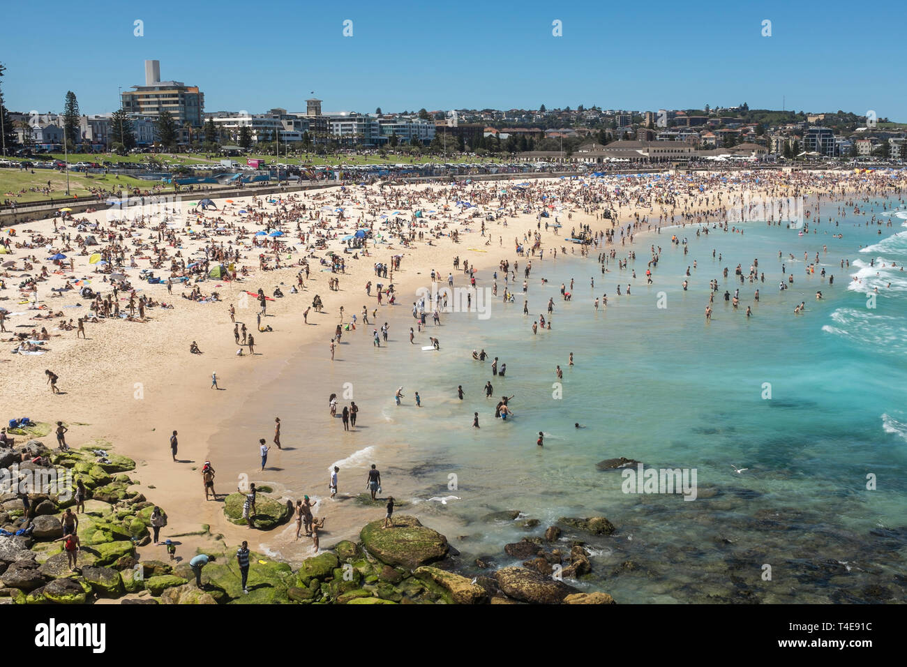 Bondi Beach, Sydney, NSW, Australie Banque D'Images