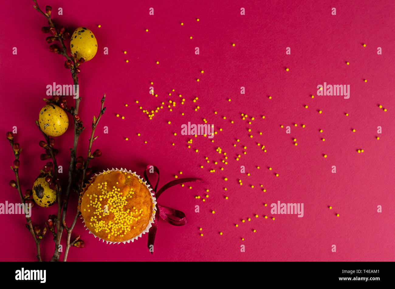 Muffins de pâques décorés avec du ruban et des Sprinkles, le jaune des oeufs de cailles et une branche d'arbre d'abricot sur un fond rose ou fuchsia. Un espace réservé au texte Banque D'Images