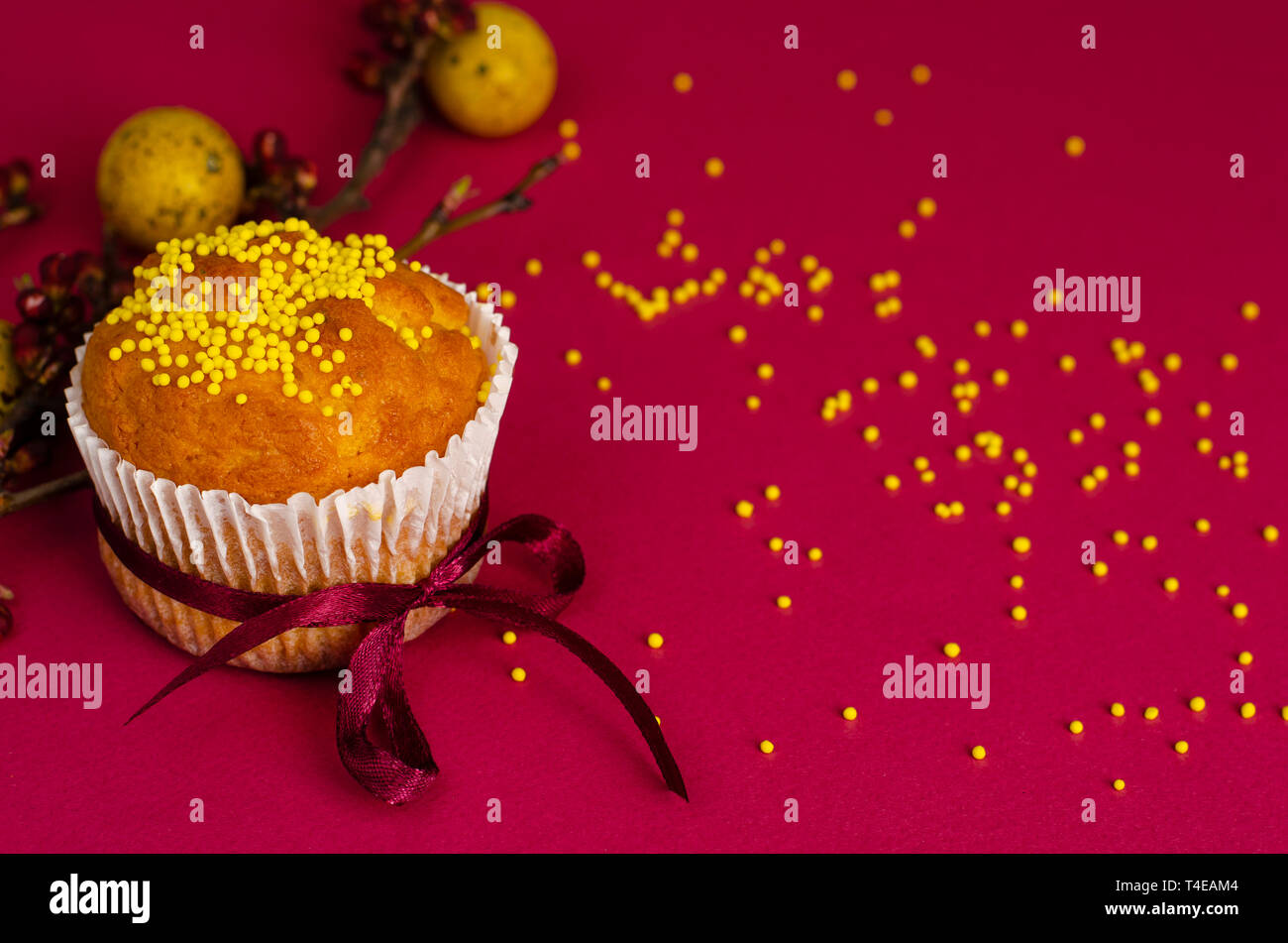 Muffins de pâques décorés avec du ruban et des Sprinkles, le jaune des oeufs de cailles et une branche d'arbre d'abricot sur un fond rose ou fuchsia. Un espace réservé au texte Banque D'Images