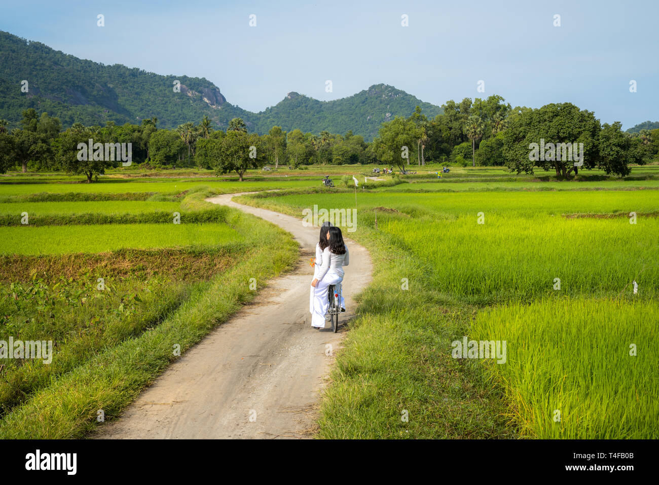 Paysage rural au Vietnam campagne avec les femmes portant le costume