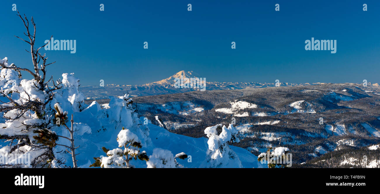 Mt Rainier vu de Mission ridge environ 69 milles au nord-est pendant l'hiver semble très élevés en raison de la relativement faible des terres entourant le sommet. Banque D'Images