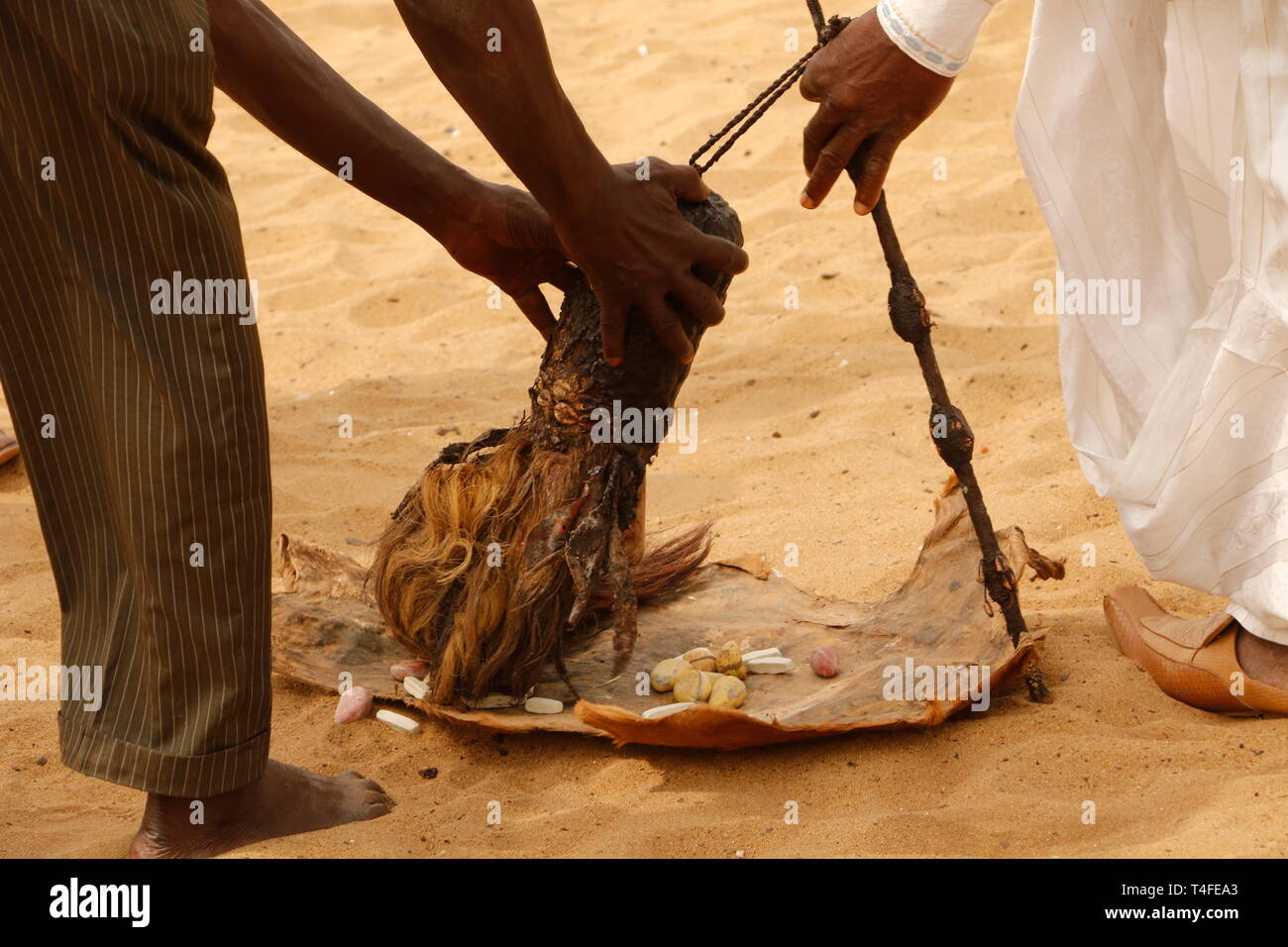 Festival vaudou de Ouidah au Bénin, à la plage, rituels, danses, chantant et jouant de la musique. Banque D'Images