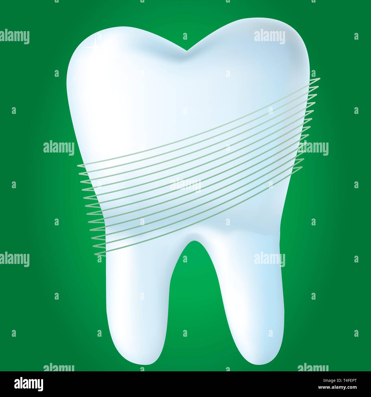 Dent sur fond vert, vector illustration réalisée avec filet Illustration de Vecteur