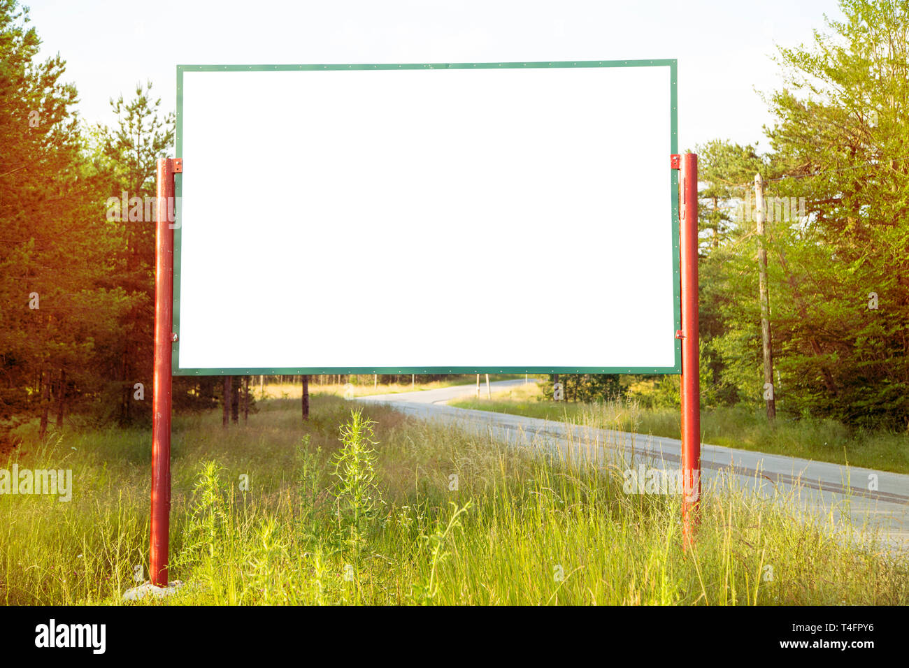 Blank billboard dans une forêt Banque D'Images
