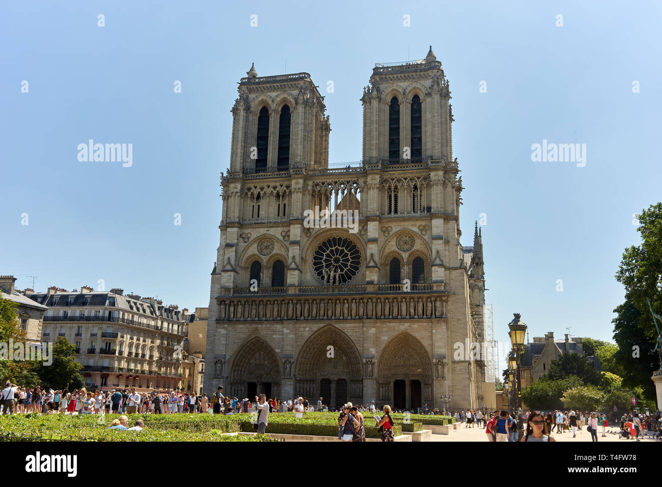 Notre Dame de Paris, vue extérieure Banque D'Images