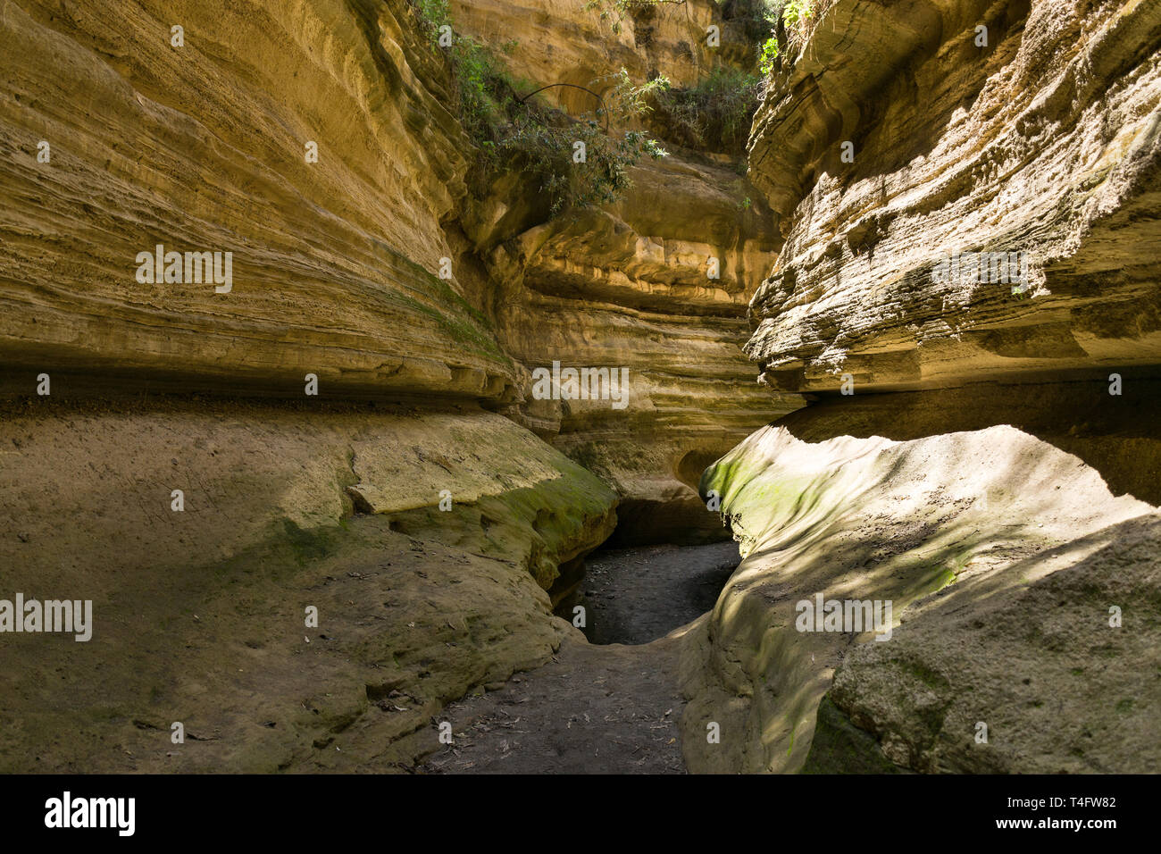 Lit de rivière à sec dans la partie étroite de l'Ol Njorowa gorge, Hells Gate National Park, Kenya Banque D'Images