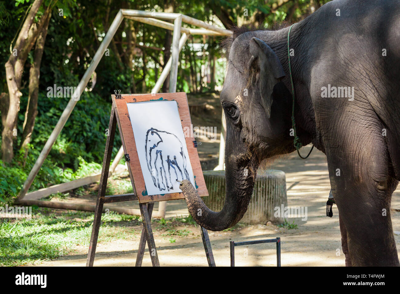 Un éléphant peindre une aquarelle. Banque D'Images