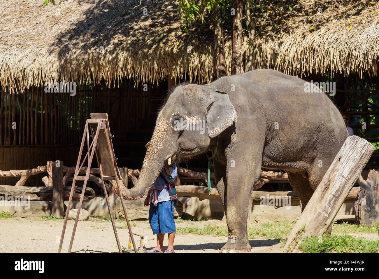 Un éléphant peindre une aquarelle. Banque D'Images