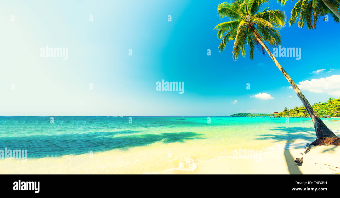 Plage des Caraïbes, tropical. Banque D'Images