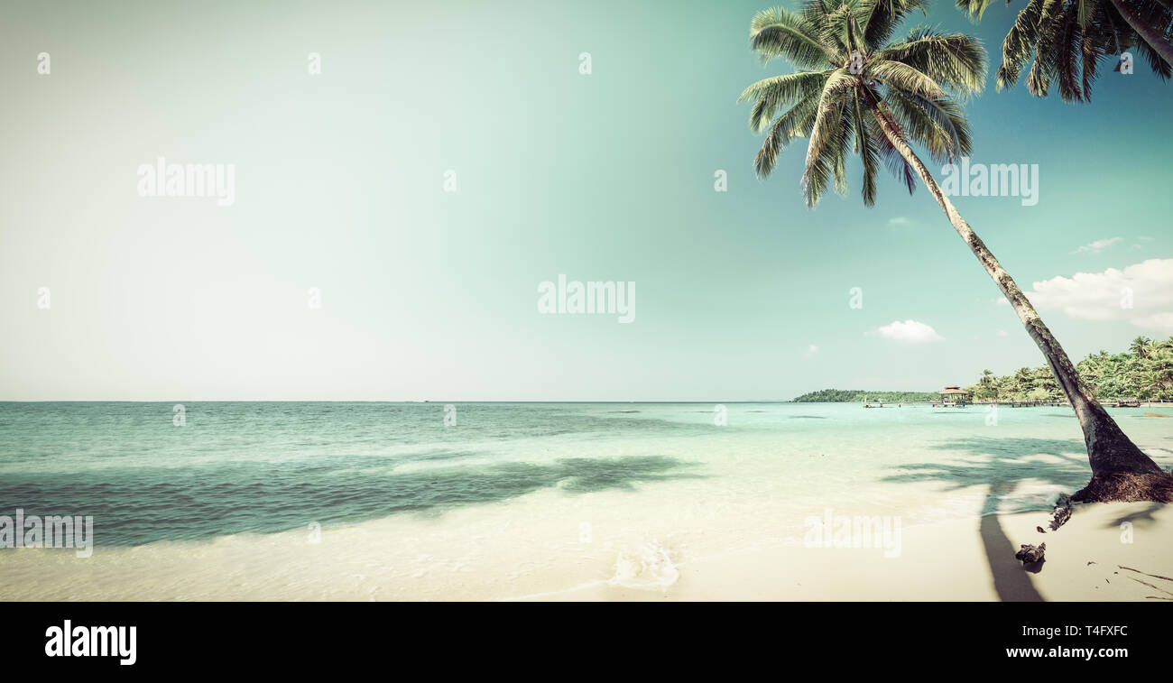 Nature paysage plage tropicale avec palmiers et une mer cristalline de l'eau. Les vacances d'été vacances voyage concept d'arrière-plan. Banque D'Images