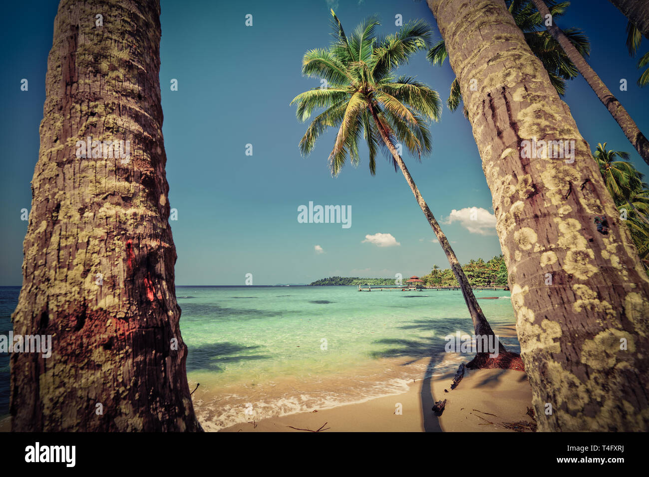 Nature paysage plage tropicale avec palmiers et une mer cristalline de l'eau. Les vacances d'été vacances voyage concept d'arrière-plan. Banque D'Images