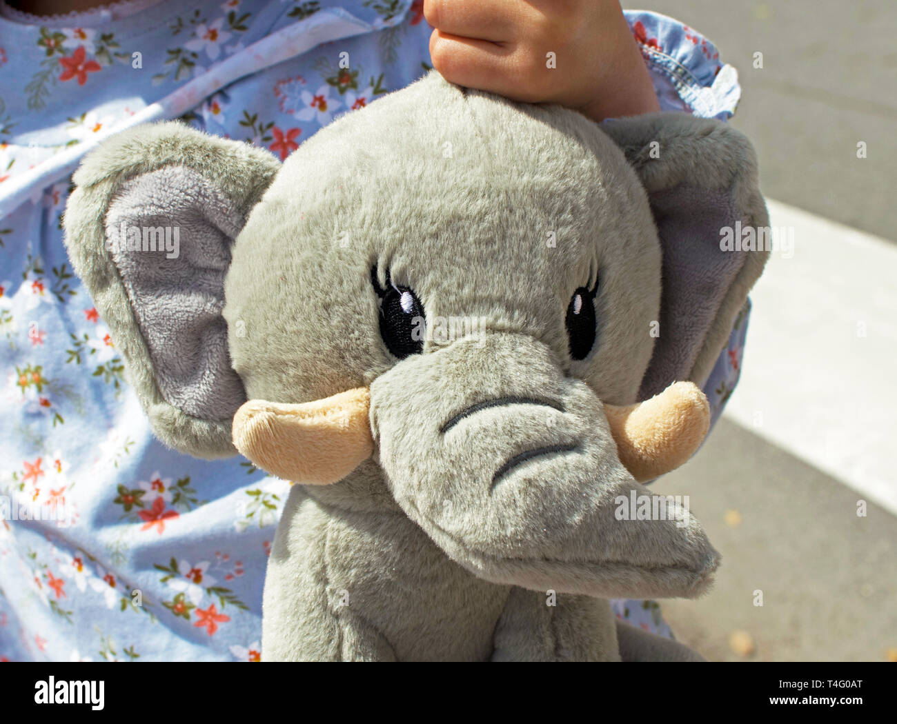 Portrait Of Smiling Little Girl Holding Heureusement Un Ours En Peluche Elephant Jolies Jeunes Filles De Bebe Espagnol Avec Des Peluches Enfance A Murcie Espagne 19 Photo Stock Alamy