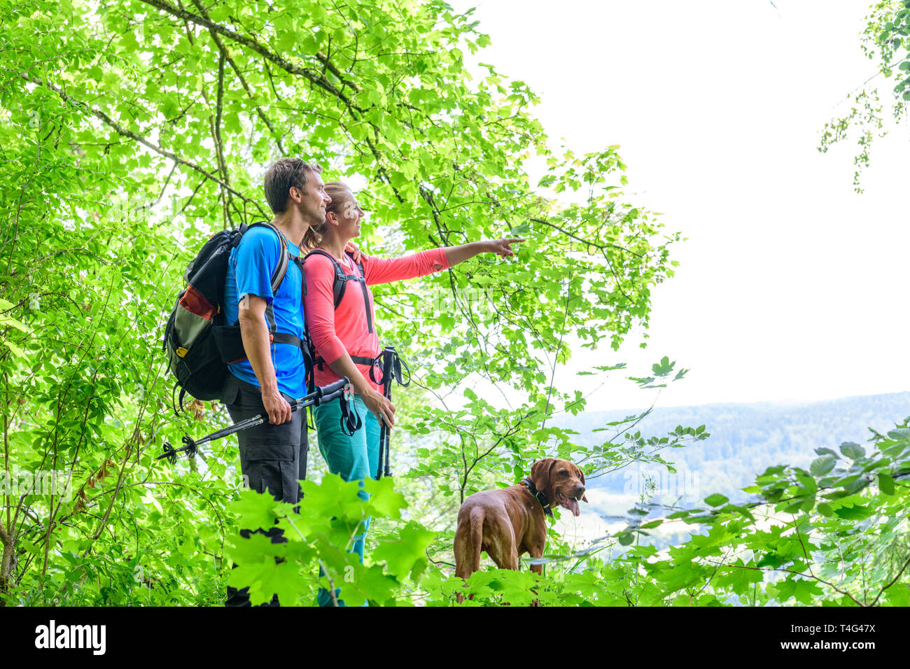 Couple enjoying view d'une clairière dans la forêt Banque D'Images