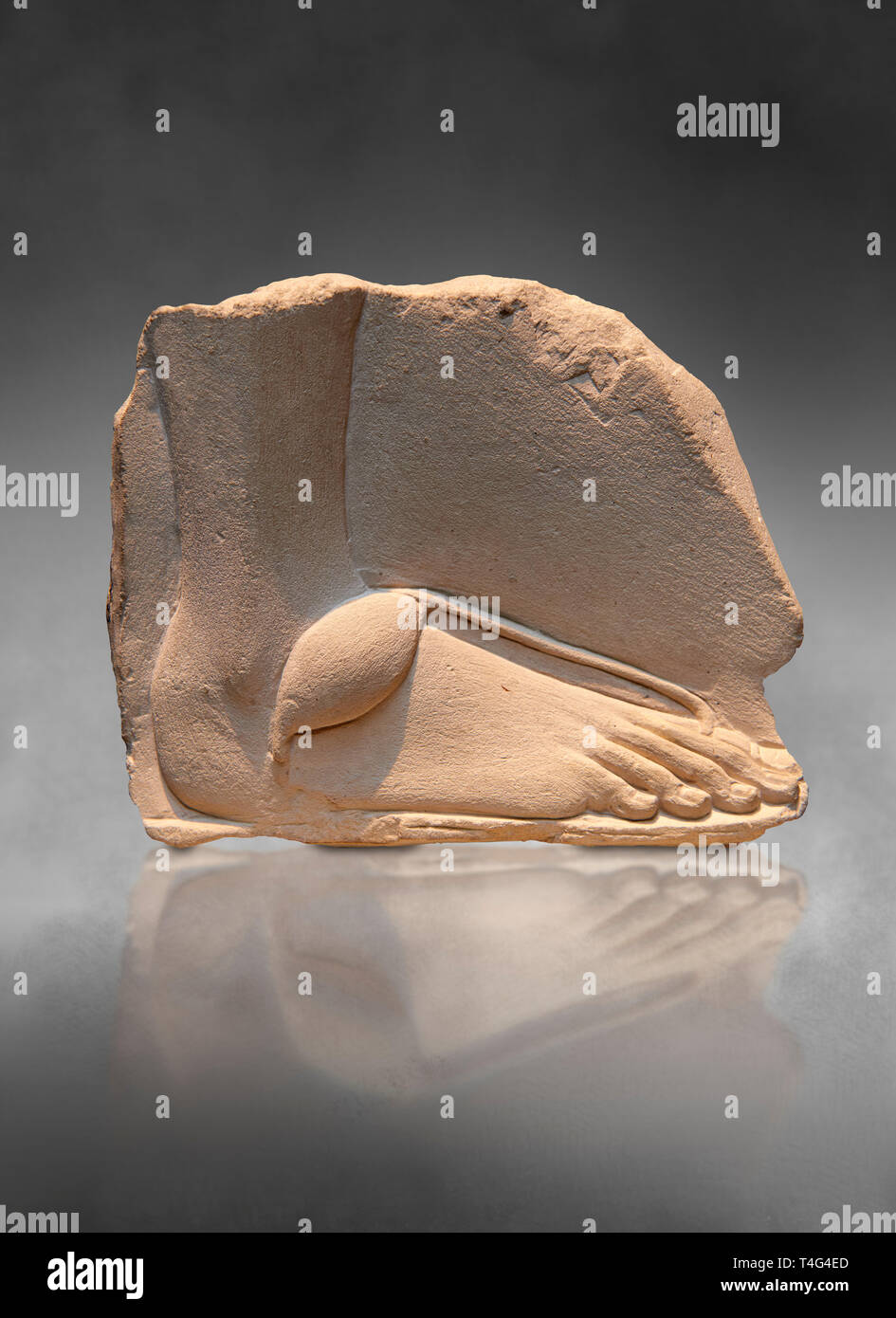 L'allégement de l'Égypte ancienne étude d'un pied. 18e dynastie 1345 BC . Neues Museum Berlin AM 20672. Banque D'Images