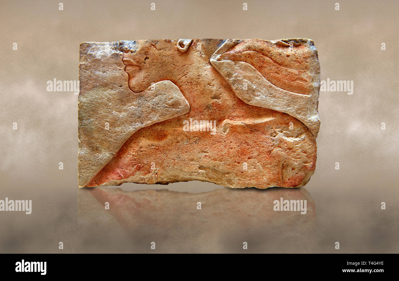 Portrait de secours de l'Égypte ancienne fragment d'Akhénaton Roi d'Amarna. 18e dynastie 1345 BC . Neues Museum Berlin 1985.328.3 : Banque D'Images