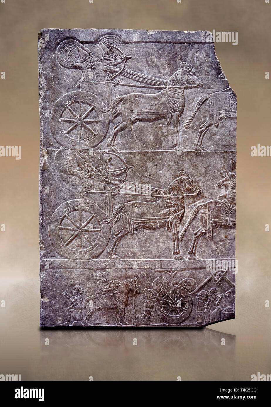 Panneau sculpté relief Pierre de char assyrien aa. Du palais d'Assurbanipal salle VI/T1, Nimrud, troisième trimestre de la 8e siècle av. inv 199 Banque D'Images