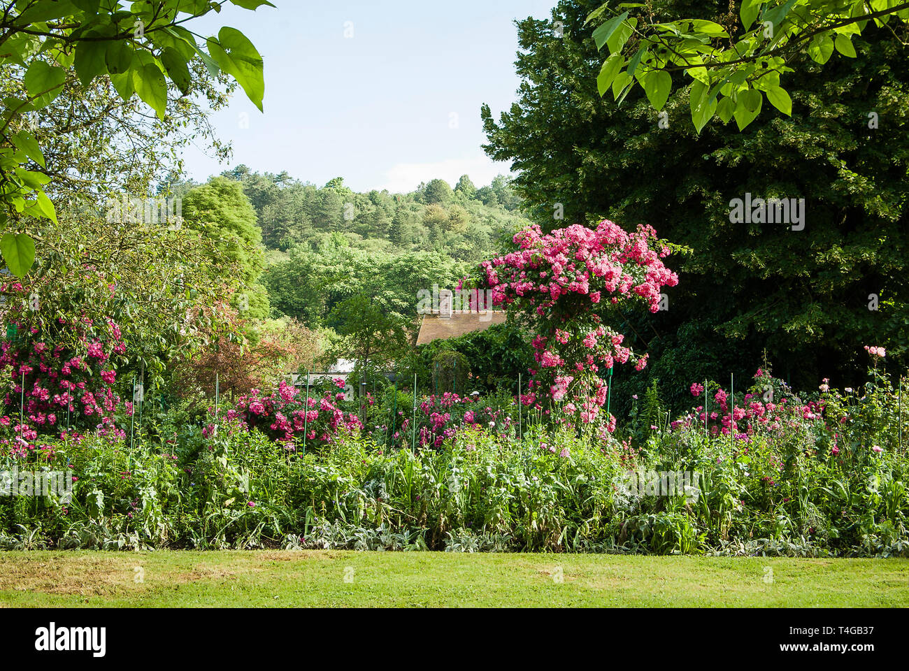 Frontière herbacées mixtes avec des roses dans le jardin de Monet à Giverny France UE Banque D'Images