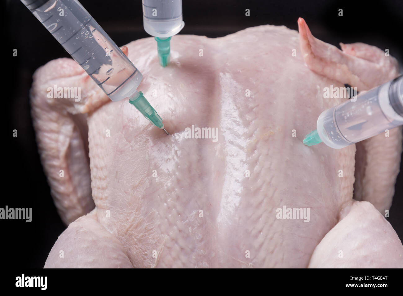 Le poulet frais avec coincé seringues pour traitement, des expériences et des OGM sur un fond noir. Close up. Banque D'Images