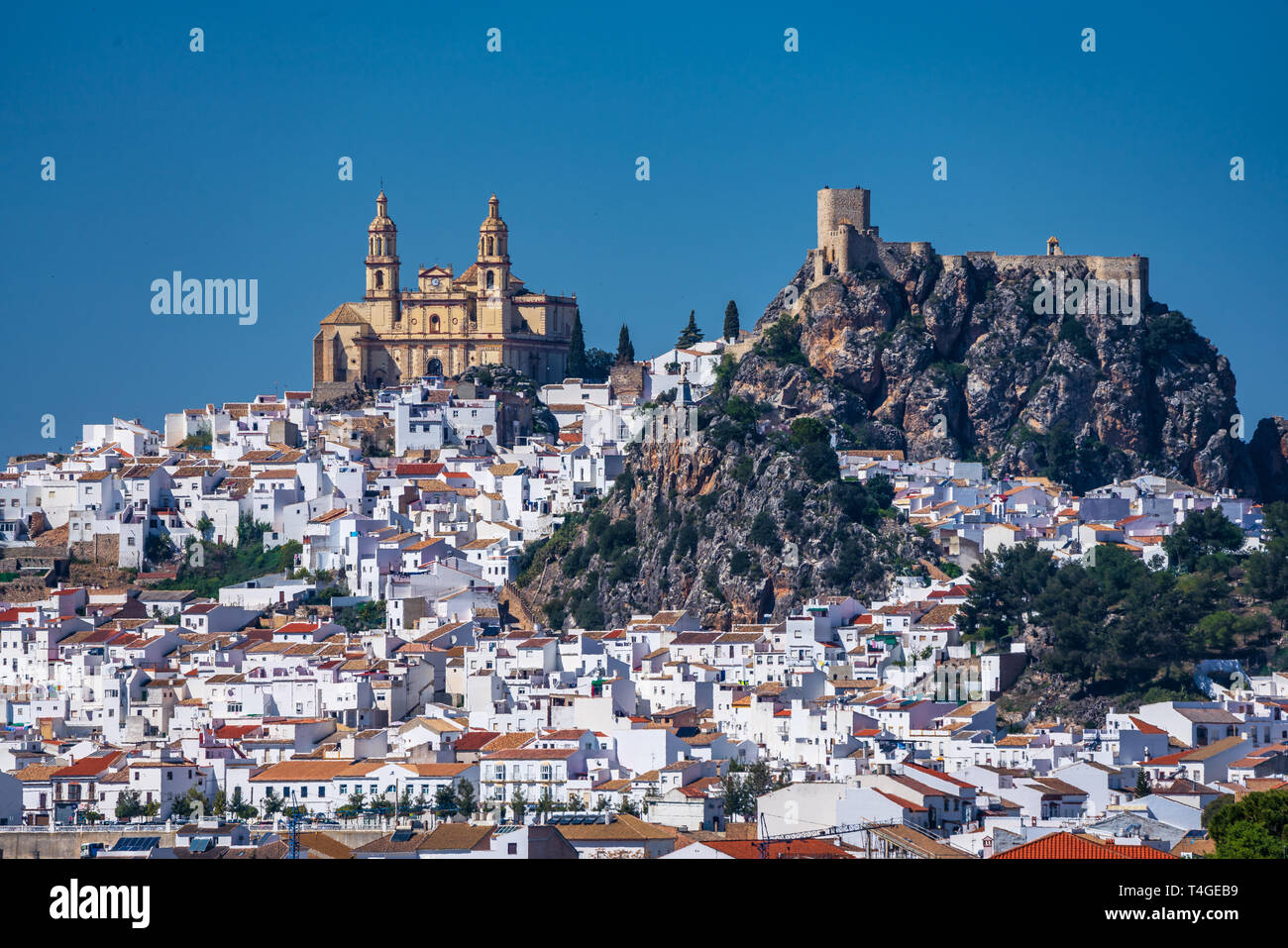 Village blanc Olvera dans la province de Cádiz, Andalousie, Espagne Banque D'Images
