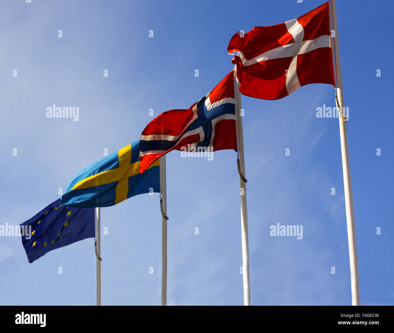 Drapeaux de pays scandinaves le Danemark, la Norvège et la Suède en agitant de mâts en coopération avec l'Europe, l'Union européenne, d'un drapeau contre un ciel bleu. Banque D'Images