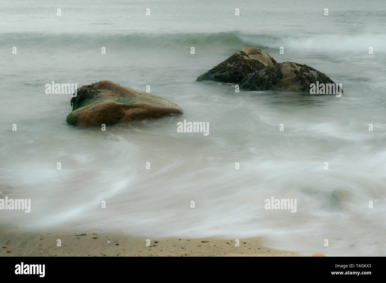 La longue exposition des vagues de l'océan qui s'écoule autour de rochers couverts d'algues, Block Island, RI Banque D'Images