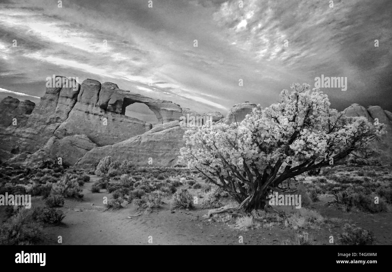 Skyline Arch dans à Arches National Park, Utah. Infrarouge monochrome. Banque D'Images