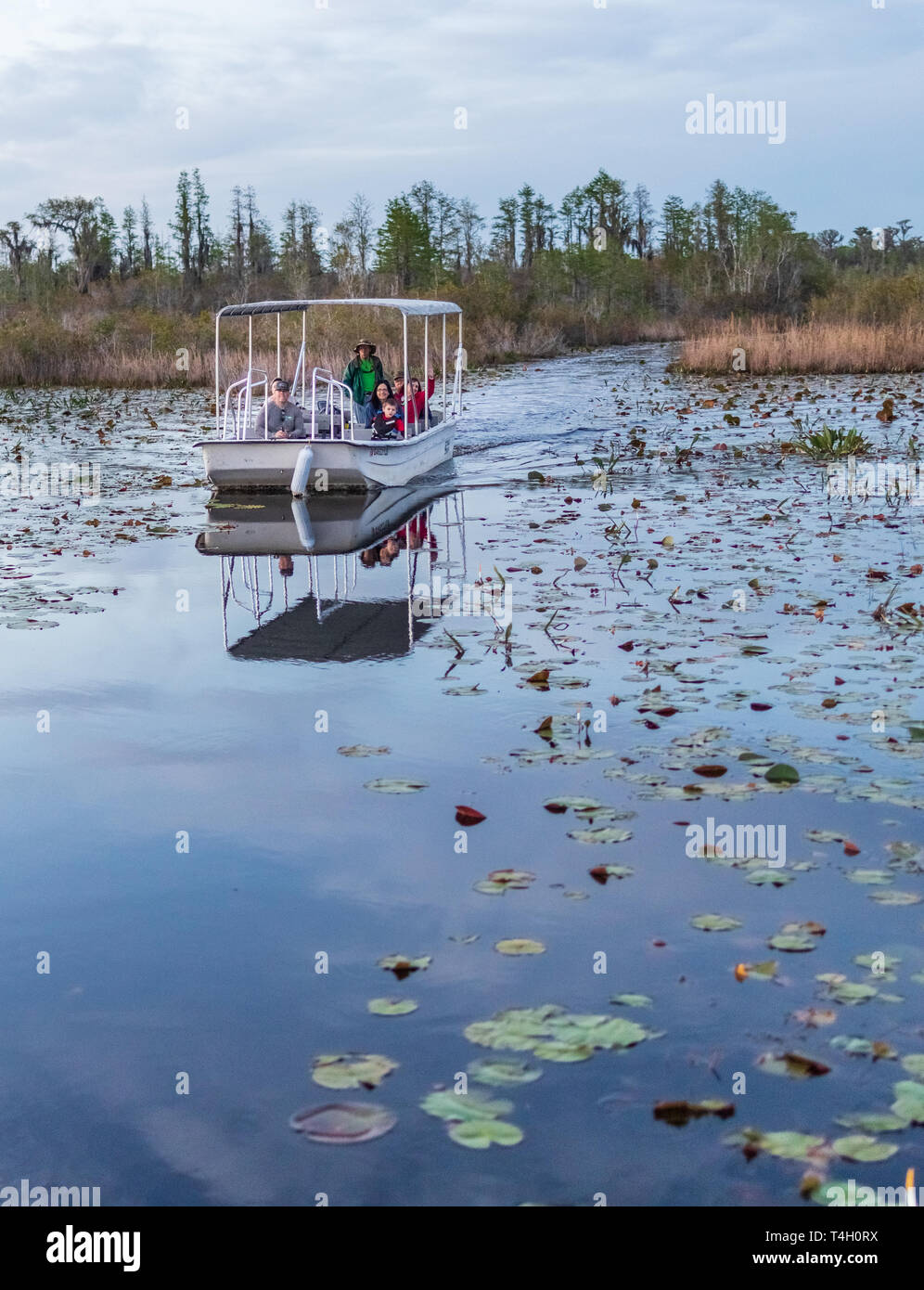 Okefenokee Swamp, Folkston, GA, USA-3/29/19 : un skiff touristiques dans le marécage Okefenokee. Banque D'Images