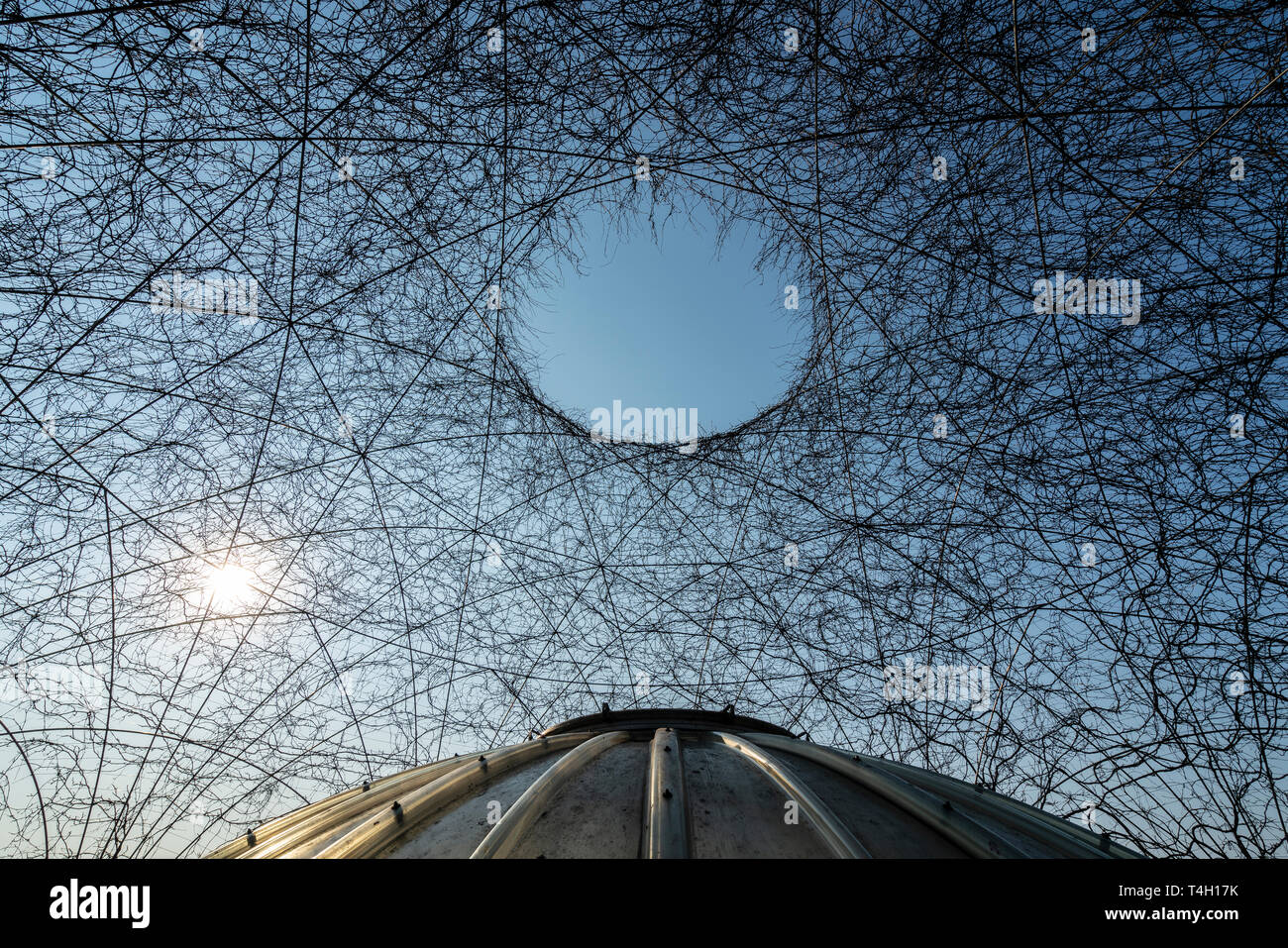 Varsovie, Pologne. Avril 2019. Les jardins suspendus sur le toit de la bibliothèque de l'Université de Varsovie Banque D'Images