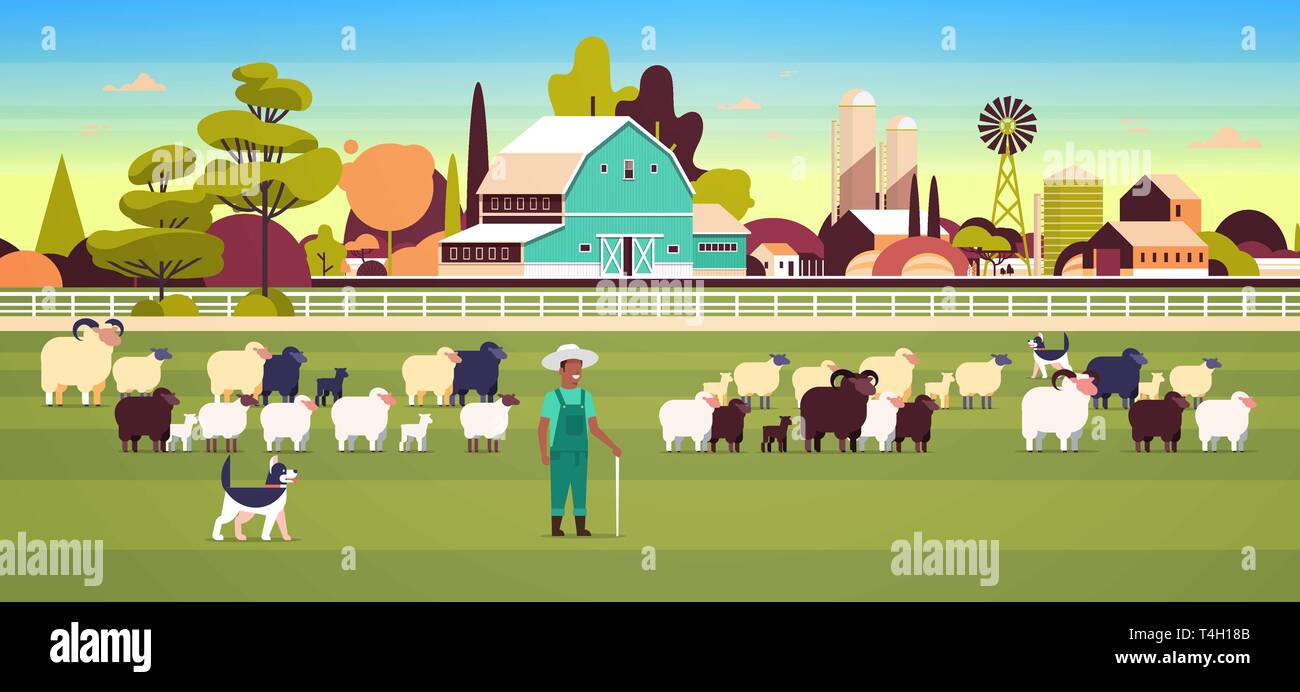 Berger avec bâton et l'élevage de chiens de troupeau de moutons noirs blancs african american male laine de moutons d'élevage fermier concept agricole des terres agricoles sur le terrain Illustration de Vecteur