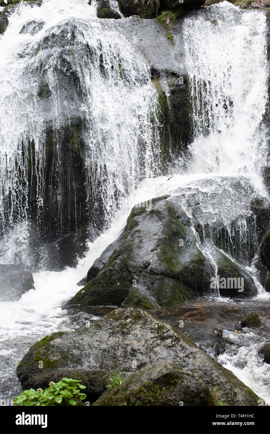 Les chutes de Triberg, Triberger Wasserfalle, cascade au printemps, Triberg, Forêt Noire, Allemagne Banque D'Images