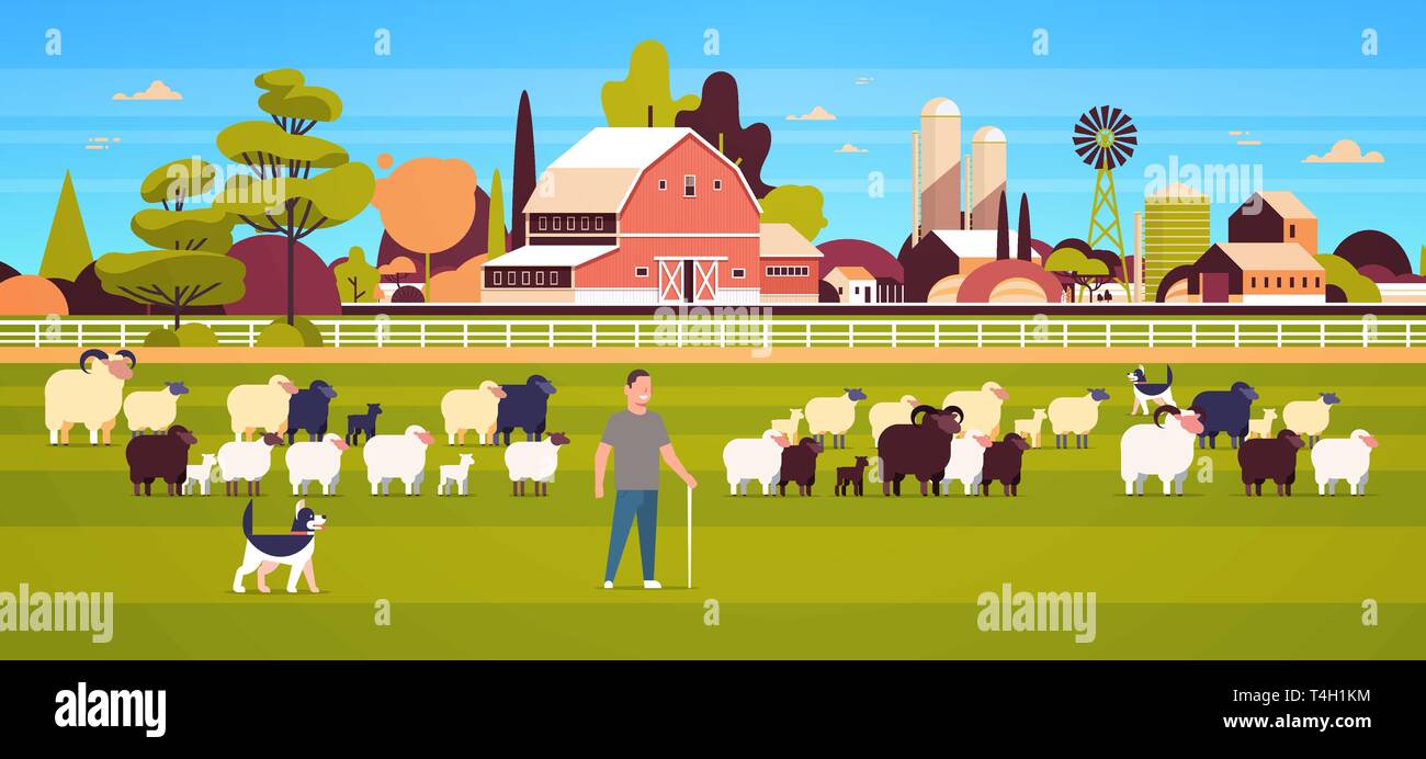 Berger avec bâton et l'élevage de chiens de troupeau de moutons noir blanc, agriculteur de laine de mouton reproduction champ concept agricole paysage campagne Terres agricoles Illustration de Vecteur