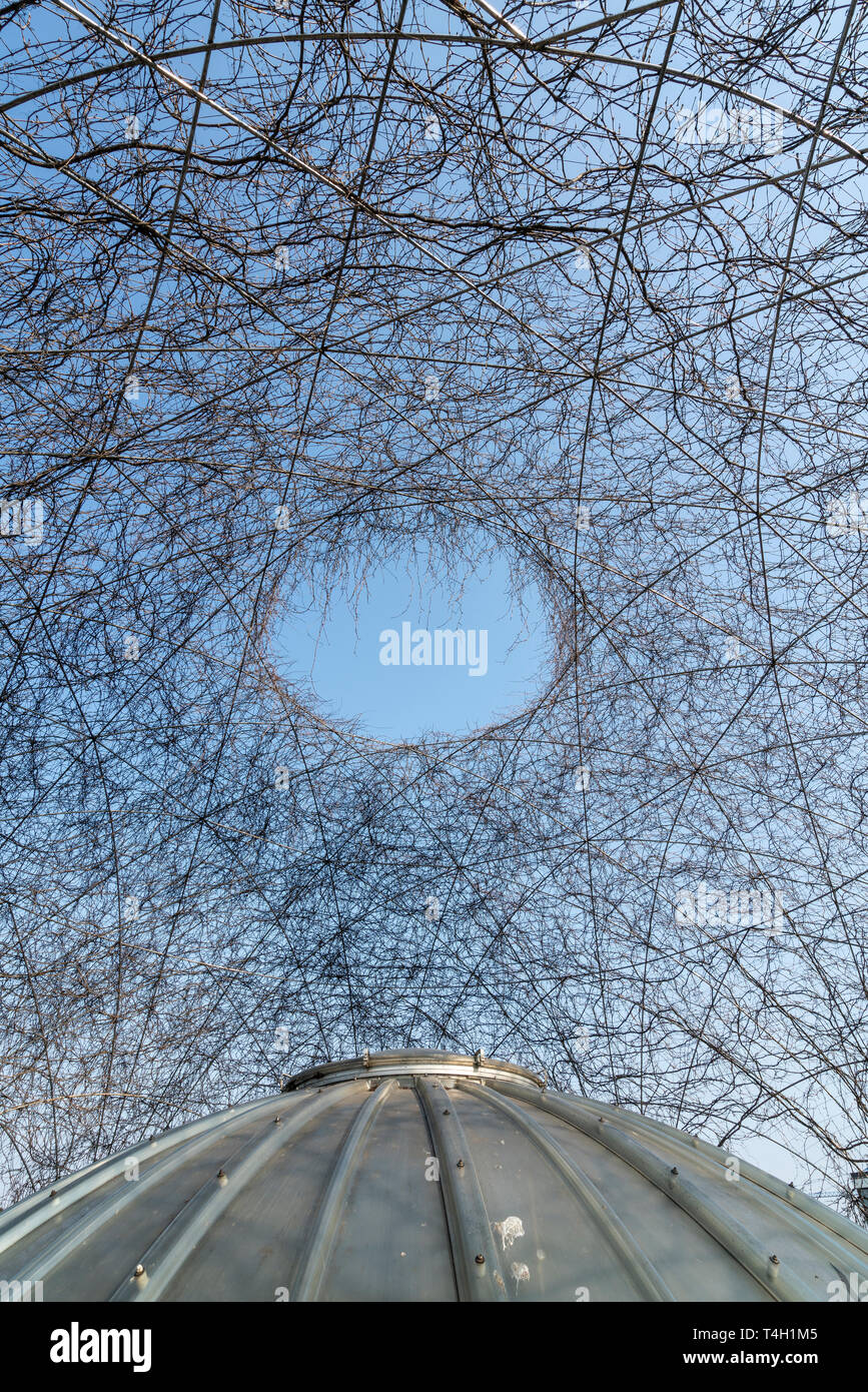 Varsovie, Pologne. Avril 2019. Les jardins suspendus sur le toit de la bibliothèque de l'Université de Varsovie Banque D'Images